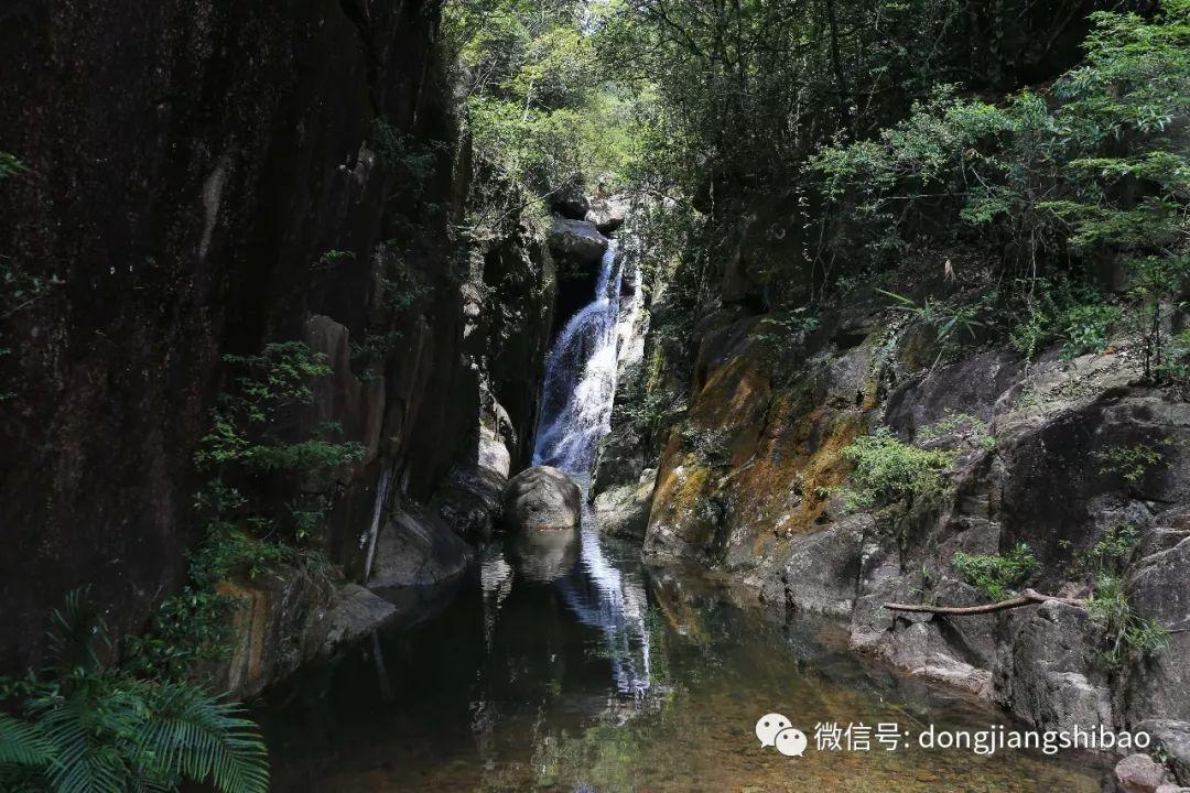 脑洞小老弟无实名认证
