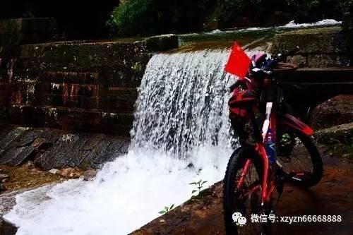 变异动物之战