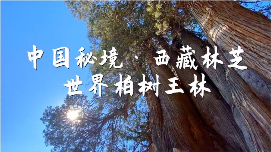 支付宝中的养老保险可靠吗？游戏画面