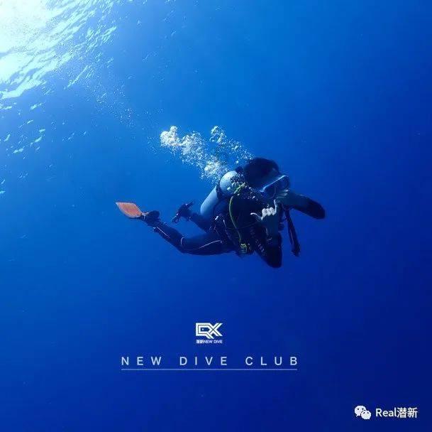 新飞飞