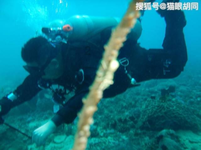 顺溜大冲锋