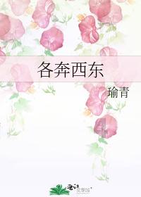 格斗战机