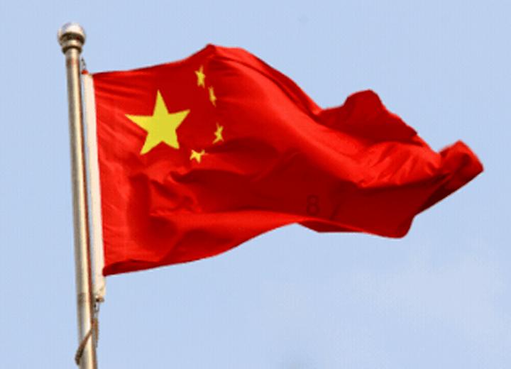 忍者鲨鱼
