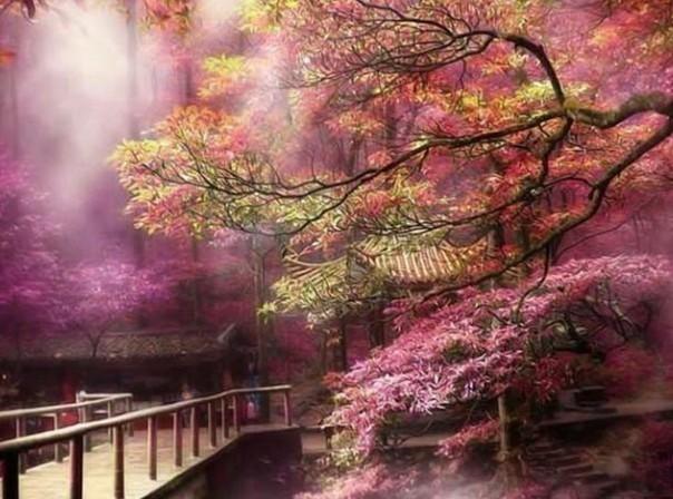 沙漠前行